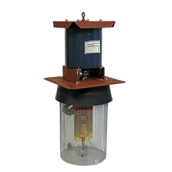 1/3 King Big Bull 1/3 King Big Bull